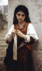 Knitter